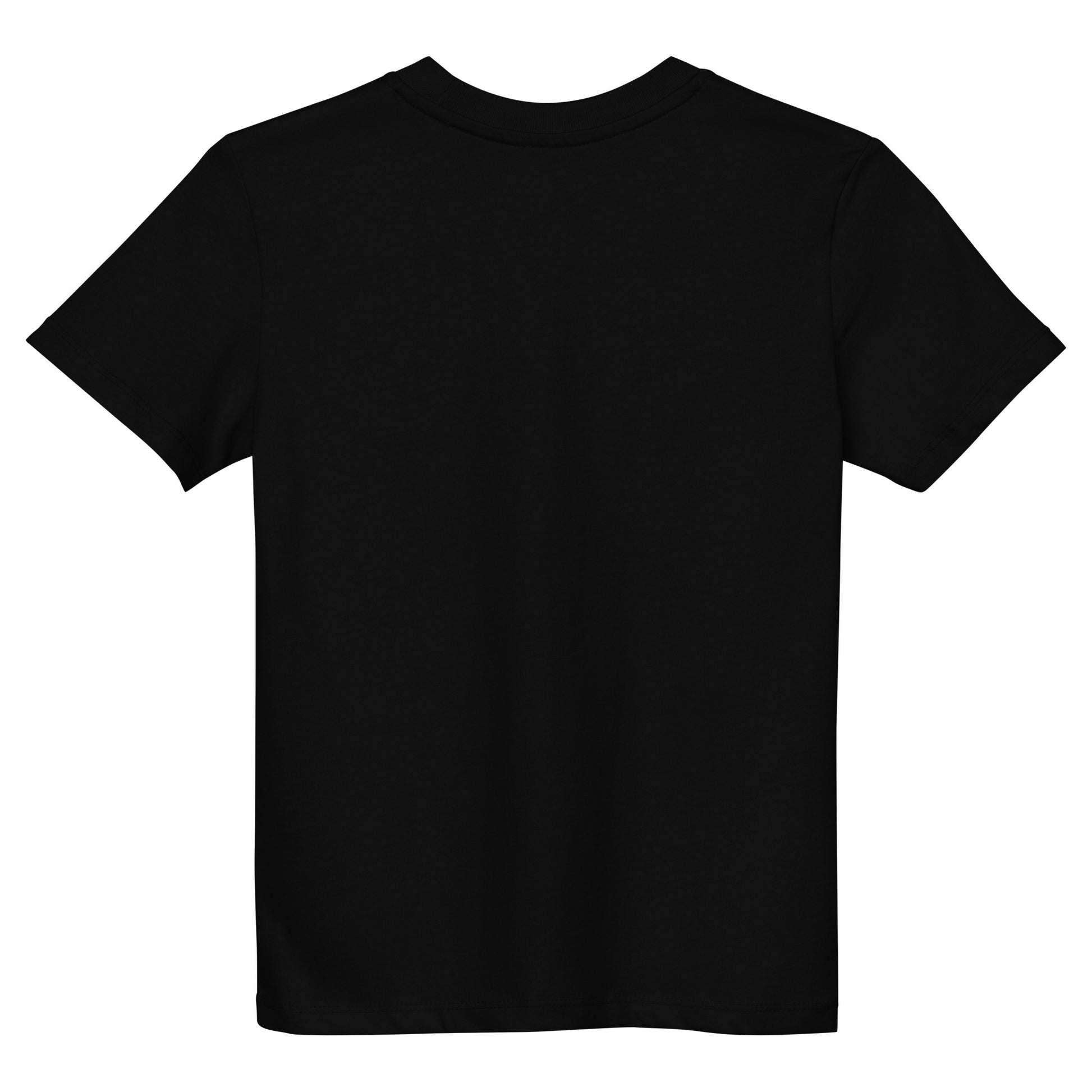 Organic cotton kids t-shirt for boys