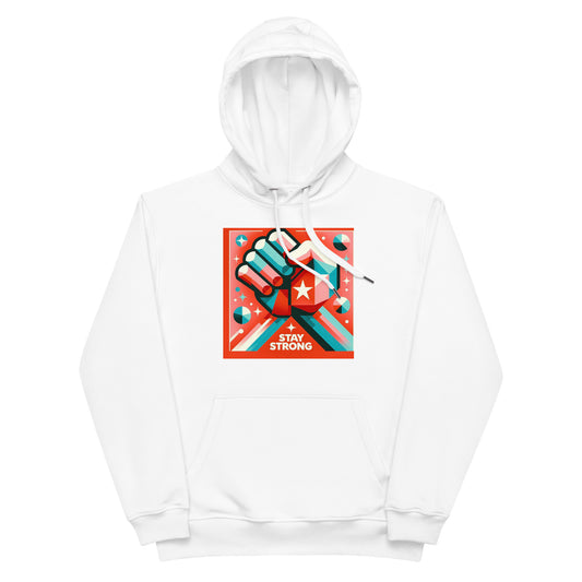 Premium eco hoodie for men