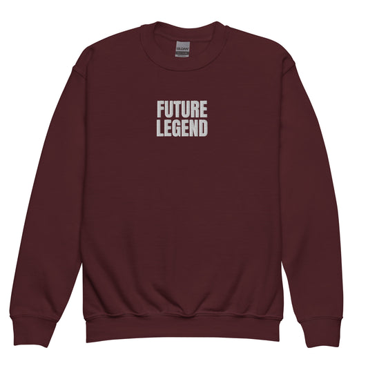 crewneck Maroon sweatshirt for boys and girls